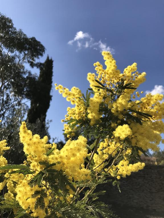 Mas Caipi La Cadiere D'Azur At My Luxury Home In Provence 외부 사진