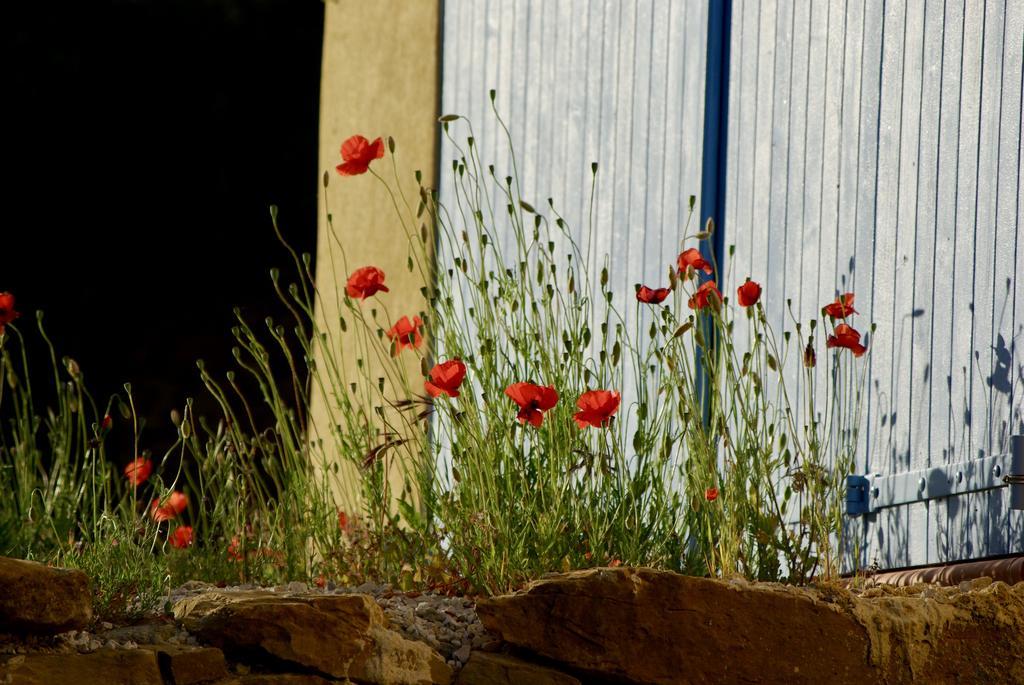 Mas Caipi La Cadiere D'Azur At My Luxury Home In Provence 외부 사진